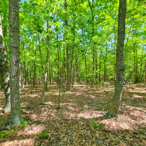 Photo #30 of SOLD property in 728 Retreat Drive, Axton, VA 32.4 acres