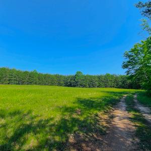 Photo #33 of SOLD property in 728 Retreat Drive, Axton, VA 32.4 acres