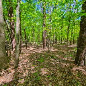 Photo #31 of SOLD property in 728 Retreat Drive, Axton, VA 32.4 acres