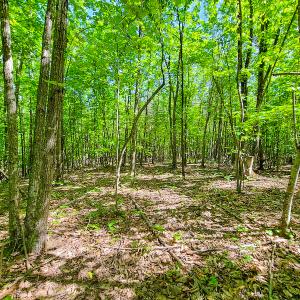 Photo #32 of SOLD property in 728 Retreat Drive, Axton, VA 32.4 acres