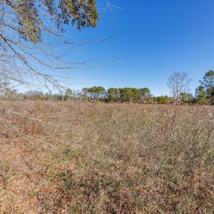 Photo #19 of SOLD property in Off W. Smith Street, Maxton, NC 5.1 acres