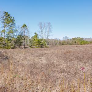 Photo #20 of SOLD property in Off W. Smith Street, Maxton, NC 5.1 acres