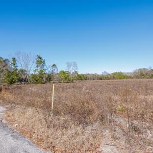 Photo #23 of SOLD property in Off W. Smith Street, Maxton, NC 5.1 acres