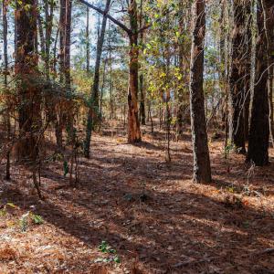 Photo #21 of SOLD property in 1575 Mercer Mill Road, Elizabethtown, NC 2.9 acres