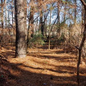 Photo #22 of SOLD property in 1575 Mercer Mill Road, Elizabethtown, NC 2.9 acres