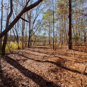 Photo #23 of SOLD property in 1575 Mercer Mill Road, Elizabethtown, NC 2.9 acres