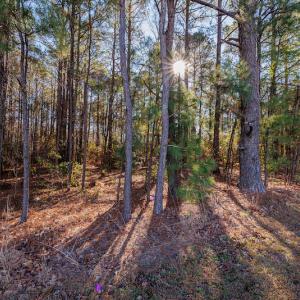 Photo #24 of SOLD property in 1575 Mercer Mill Road, Elizabethtown, NC 2.9 acres