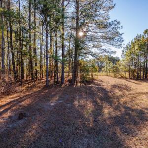 Photo #25 of SOLD property in 1575 Mercer Mill Road, Elizabethtown, NC 2.9 acres