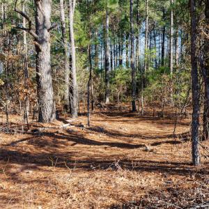 Photo #20 of SOLD property in 1575 Mercer Mill Road, Elizabethtown, NC 2.9 acres