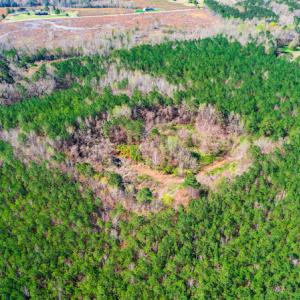 Photo #8 of SOLD property in Off Hub Quarter Road, Macon, NC 4.6 acres