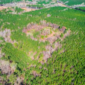 Photo #9 of SOLD property in Off Hub Quarter Road, Macon, NC 4.6 acres