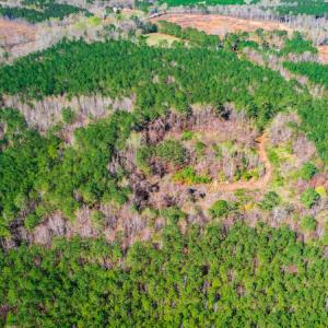 Photo #10 of SOLD property in Off Hub Quarter Road, Macon, NC 4.6 acres