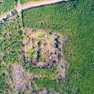 Photo #12 of SOLD property in Off Hub Quarter Road, Macon, NC 4.6 acres