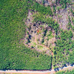Photo #13 of SOLD property in Off Hub Quarter Road, Macon, NC 4.6 acres
