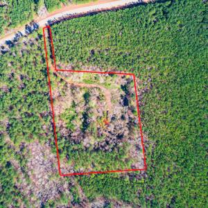 Photo #3 of SOLD property in Off Hub Quarter Road, Macon, NC 4.6 acres