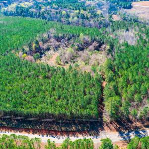 Photo #4 of SOLD property in Off Hub Quarter Road, Macon, NC 4.6 acres