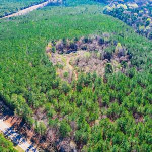 Photo #5 of SOLD property in Off Hub Quarter Road, Macon, NC 4.6 acres