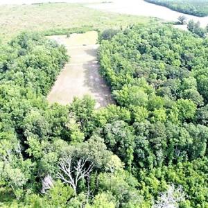 Photo #6 of SOLD property in 4311 Anderson Chapel Road, Macclesfield, NC 26.0 acres