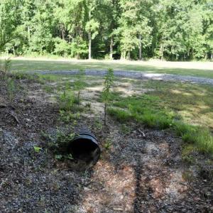 Photo #7 of SOLD property in 4311 Anderson Chapel Road, Macclesfield, NC 26.0 acres