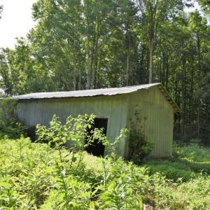 Photo #15 of SOLD property in 4311 Anderson Chapel Road, Macclesfield, NC 26.0 acres