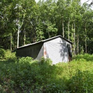 Photo #16 of SOLD property in 4311 Anderson Chapel Road, Macclesfield, NC 26.0 acres