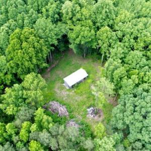 Photo #17 of SOLD property in 4311 Anderson Chapel Road, Macclesfield, NC 26.0 acres