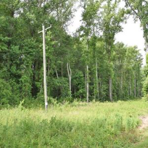 Photo #20 of SOLD property in 4311 Anderson Chapel Road, Macclesfield, NC 26.0 acres