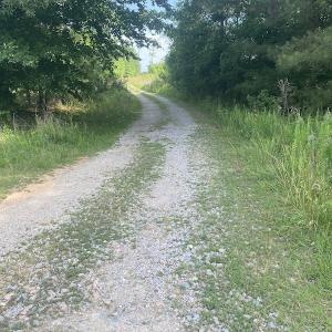 Photo #16 of SOLD property in Lot 1 - Hunters Bluff Lane, Warrenton, NC 15.0 acres