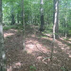 Photo #4 of SOLD property in Lot 1 - Hunters Bluff Lane, Warrenton, NC 15.0 acres