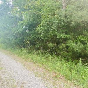 Photo #15 of SOLD property in Lot 1 - Hunters Bluff Lane, Warrenton, NC 15.0 acres