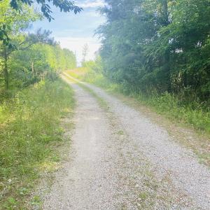 Photo #18 of SOLD property in Lot 1 - Hunters Bluff Lane, Warrenton, NC 15.0 acres