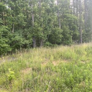 Photo #13 of SOLD property in Lot 1 - Hunters Bluff Lane, Warrenton, NC 15.0 acres