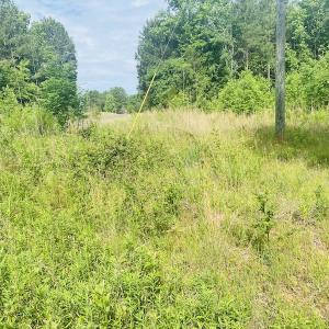 Photo #11 of SOLD property in Lot 1 - Hunters Bluff Lane, Warrenton, NC 15.0 acres