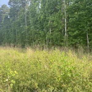 Photo #12 of SOLD property in Lot 1 - Hunters Bluff Lane, Warrenton, NC 15.0 acres