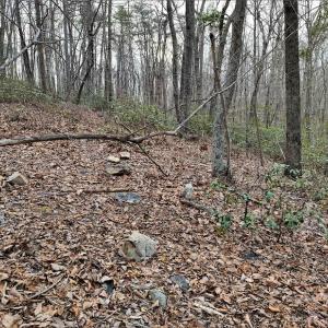 Photo #12 of SOLD property in Off Tery Court, Madison Heights, VA 5.8 acres