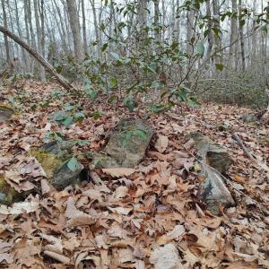 Photo #19 of SOLD property in Off Tery Court, Madison Heights, VA 5.8 acres