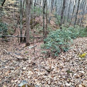 Photo #20 of Off Tery Court, Madison Heights, VA 5.8 acres