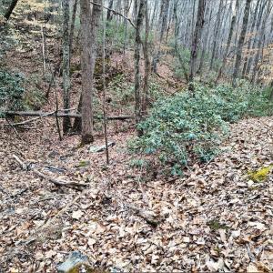 Photo #20 of SOLD property in Off Tery Court, Madison Heights, VA 5.8 acres