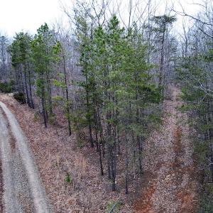 Photo #3 of SOLD property in Off Tery Court, Madison Heights, VA 5.8 acres