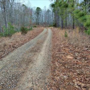 Photo #6 of SOLD property in Off Tery Court, Madison Heights, VA 5.8 acres