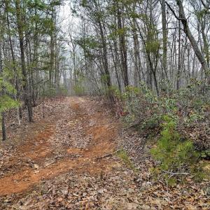 Photo #7 of SOLD property in Off Tery Court, Madison Heights, VA 5.8 acres