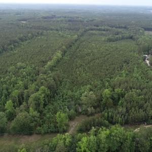 Photo #2 of SOLD property in Off Manning Drive, Valentines, VA 36.0 acres