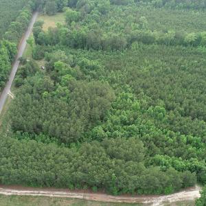 Photo #11 of SOLD property in Off Manning Drive, Valentines, VA 36.0 acres
