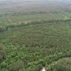 Photo #19 of SOLD property in Off Manning Drive, Valentines, VA 36.0 acres