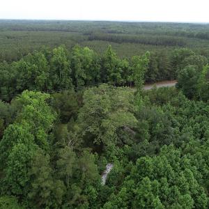 Photo #31 of SOLD property in Off Manning Drive, Valentines, VA 36.0 acres