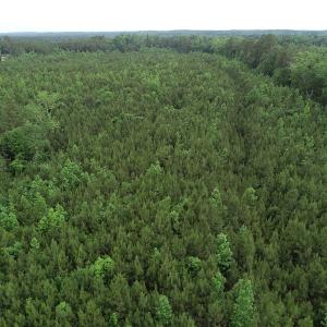 Photo #38 of SOLD property in Off Manning Drive, Valentines, VA 36.0 acres