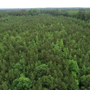 Photo #39 of SOLD property in Off Manning Drive, Valentines, VA 36.0 acres