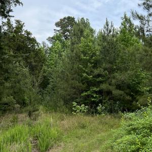Photo #5 of SOLD property in Off Manning Drive, Valentines, VA 36.0 acres