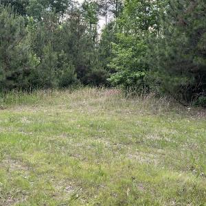 Photo #7 of SOLD property in Off Manning Drive, Valentines, VA 36.0 acres
