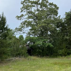 Photo #8 of SOLD property in Off Manning Drive, Valentines, VA 36.0 acres